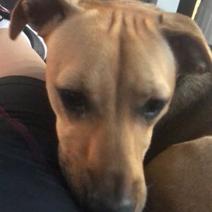 Meet your Posher, Tina